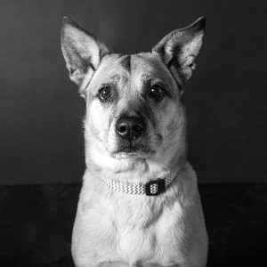 Fundraising Page: Riley CHS